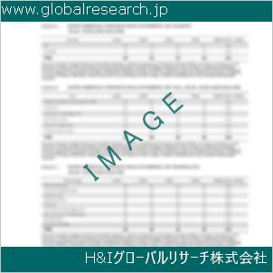 グローバルリサーチ調査資料のイメージ
